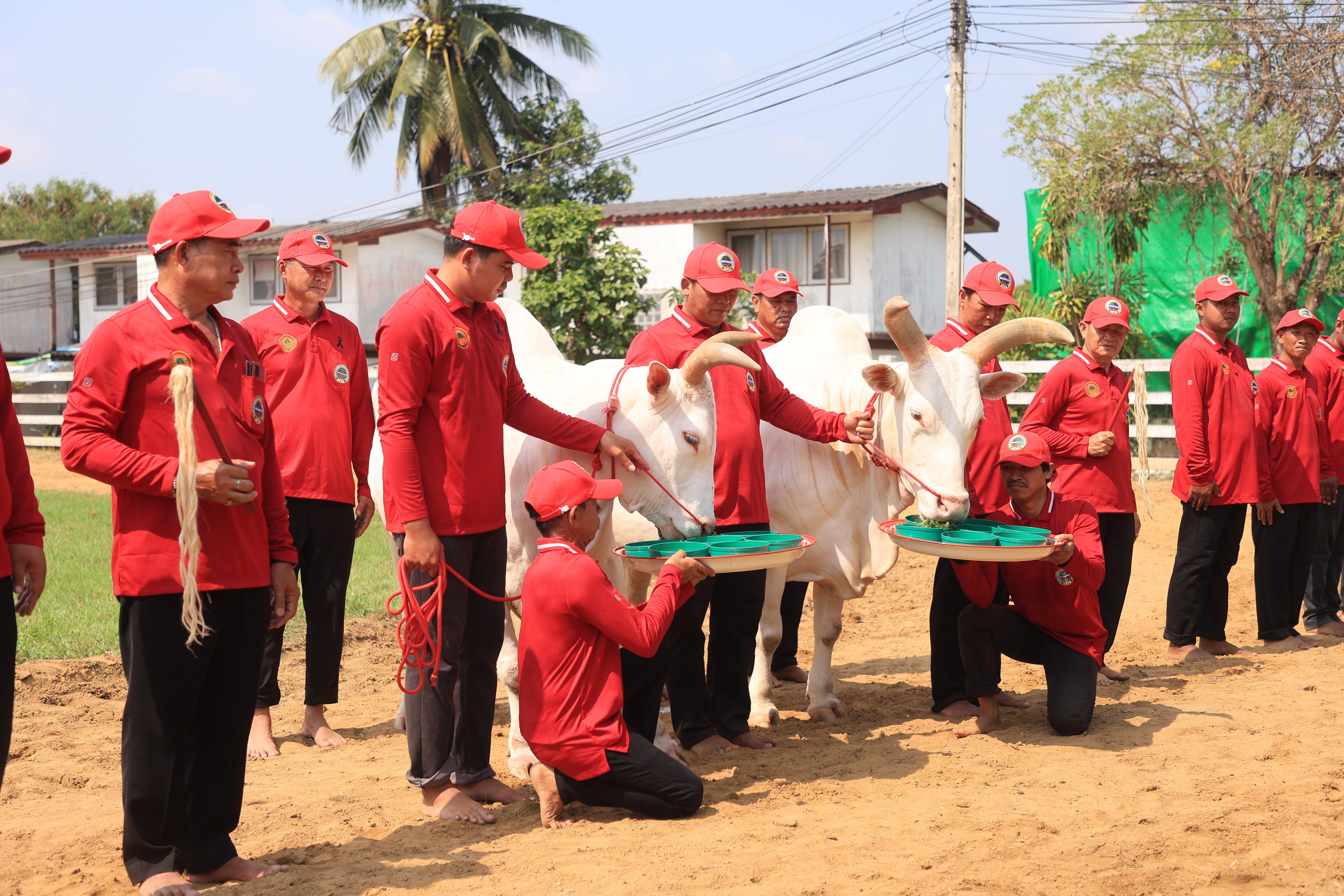 title - ส.ป.ก. เข้าร่วมการตรวจเยี่ยมการจัดเตรียมพระโค ในงานพระราชพิธีพืชมงคลจรดพระนังคัลแรกนาขวัญ ประจำปี 2569
